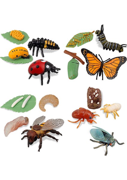 16 Adet Böcek Figürleri Kelebeğin Yaşam Döngüsü, Ağustosböceği, Uğur Böceği, Plastik Eğitim Okulu Projesi (Yurt Dışından)