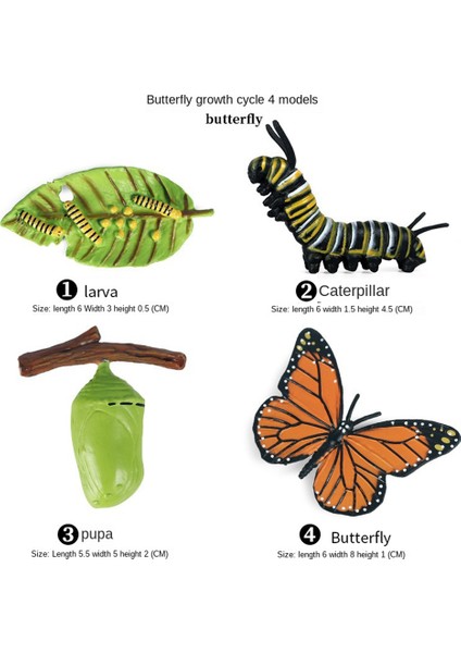 16 Adet Böcek Figürleri Kelebeğin Yaşam Döngüsü, Ağustosböceği, Uğur Böceği, Plastik Eğitim Okulu Projesi (Yurt Dışından) fırsatları