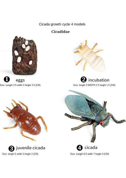 16 Adet Böcek Figürleri Kelebeğin Yaşam Döngüsü, Ağustosböceği, Uğur Böceği, Plastik Eğitim Okulu Projesi (Yurt Dışından) indirimleri