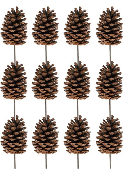 12 Adet Doğal Çam Kozalağı Seçtikleri Noel Çam Kozalağı Spreyleri Orta Çam Kozalağı Seçtikleri Kablolu Sapları ile 8.3 Inç Uzun Noel Için, A (Yurt Dışından)