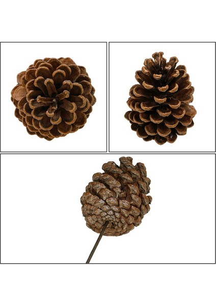 12 Adet Doğal Çam Kozalağı Seçtikleri Noel Çam Kozalağı Spreyleri Orta Çam Kozalağı Seçtikleri Kablolu Sapları ile 8.3 Inç Uzun Noel Için, A (Yurt Dışından) fiyatları