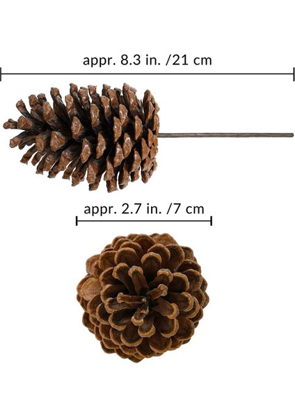12 Adet Doğal Çam Kozalağı Seçtikleri Noel Çam Kozalağı Spreyleri Orta Çam Kozalağı Seçtikleri Kablolu Sapları ile 8.3 Inç Uzun Noel Için, A (Yurt Dışından) modelleri
