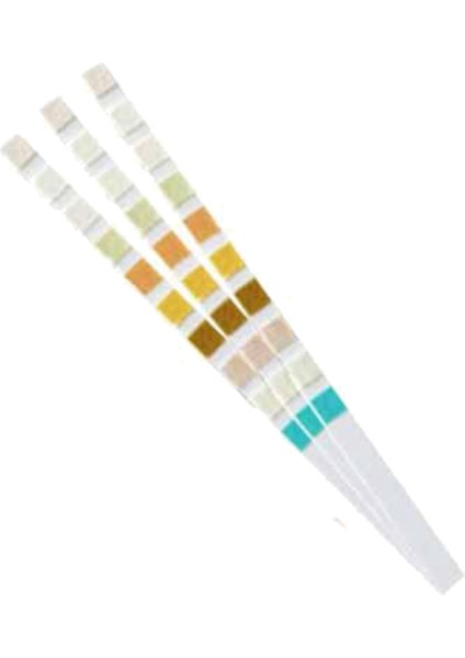 300 Strip Idrar Test Stripi 10 Parametre (Yurt Dışından) modelleri