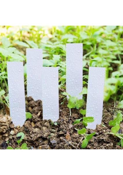Bitki Etiketleri, Plastik Bitki Fidanlık Bahçe Etiketleri Pot Marker Bahçe Hissesi Etiketleri (1000 Adet, Beyaz) (Yurt Dışından) fırsatları