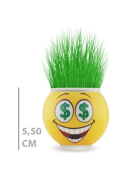 Çim Adam Saksı Emoji Figürlü 1 Adet