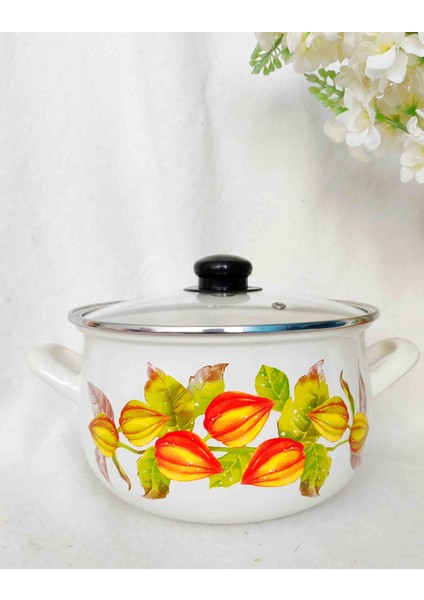 Altın Çilek Emaye Tencere 3,7 Litre 22 cm Çap Süt Yoğurt Çorba Tenceresi