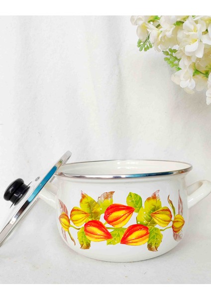 Altın Çilek Emaye Tencere 3,7 Litre 22 cm Çap Süt Yoğurt Çorba Tenceresi fiyatları