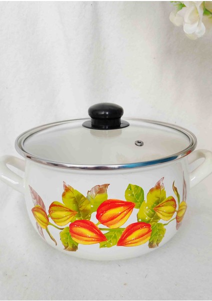 Altın Çilek Emaye Tencere 3,7 Litre 22 cm Çap Süt Yoğurt Çorba Tenceresi modelleri