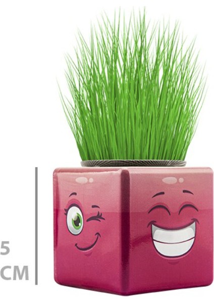 Çim Adam Mini Küp Emoji Figürlü 1 Adet
