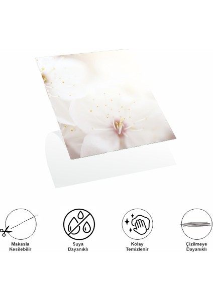 Decohandy 30X30 cm Pvc Duvar Karosu 4'lü Paket - Japon Çiçeği