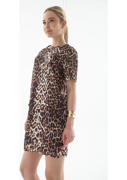 Kısa Kollu Leopar Desenli Kadın Elbise 0262-2Y5