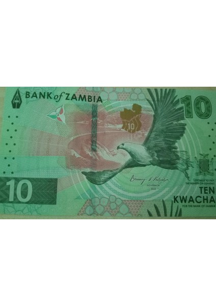 Koleksiyon Zambia 10 Kwacha Çil