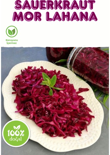 Sauerkraut (Ekşi Lahana Turşusu) No4 Mor Lahana (660CC.) modelleri