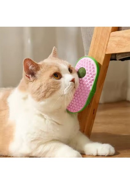 Catnip Toplu Kedi Kaşınma Aparatı