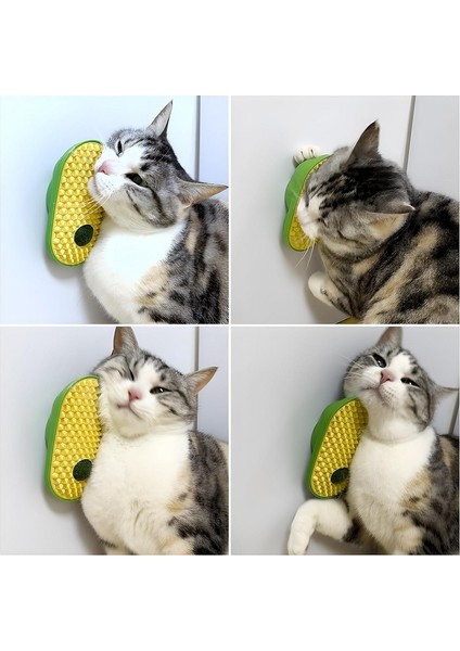 Catnip Toplu Kedi Kaşınma Aparatı