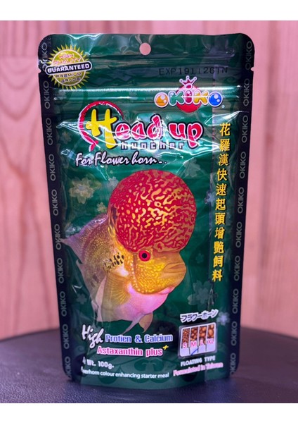 Flowerhorn Head Up Yemi M 100 gr