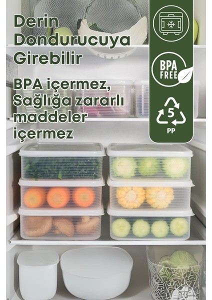 8'li Set 2,3 Lt ve 3,5 Lt Sızdırmaz Derin Dondurucu Buzluk Saklama Kabı Seti Şeffaf