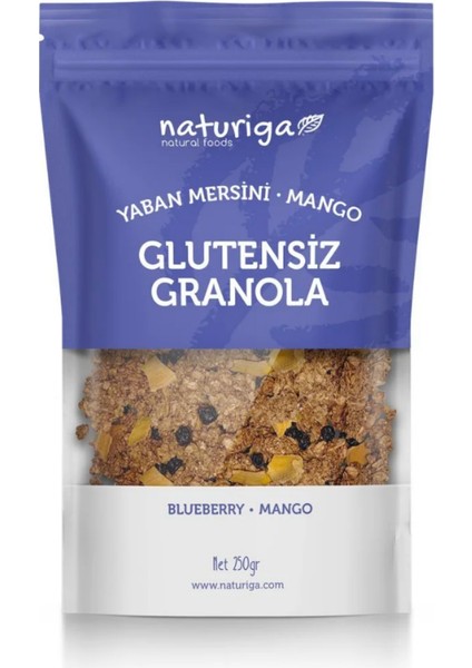 Glutensiz Yaban Mersini & Mango GRANOLA(250GR)
