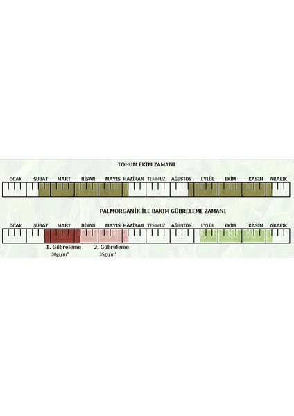Ecopalmix (6 Plm Mix)Karışım Çim Tohumu