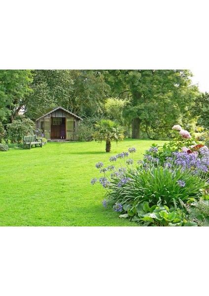 Active Grass Mix 4'lü Karışım Çim Tohumu