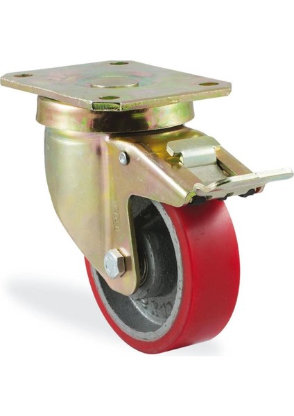 Tekerlek 4102 Dor Serisi Frenli -100MM fiyatları