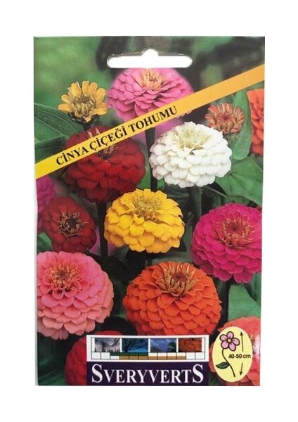 Katmerli Zinnia Çiçeği Tohumu