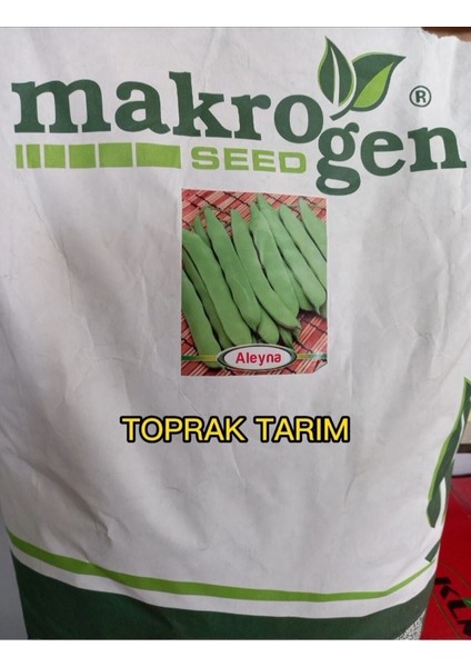 Taze Fasulye Tohumu Aleyna (Cino) (Oturak) Cino Oturak Taze Fasulye Tohumu 1 kg