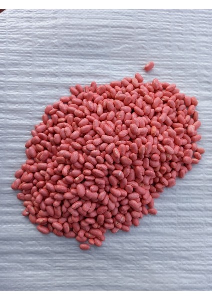 Taze Fasulye Tohumu Aleyna (Cino) (Oturak) Cino Oturak Taze Fasulye Tohumu 1 kg