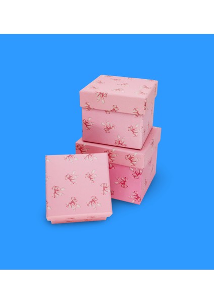 Fiyonk Desenli 3'lü Hediye, Kutusu Seti | Mini Kutu Seti