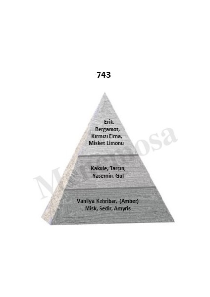 743 + 743 Erkek Parfüm Edp 50 ml Woody