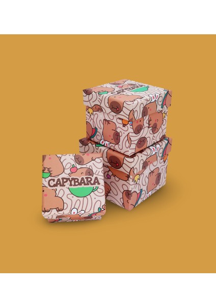 Capybara Desenli 3'lü Hediye, Kutusu Seti | Mini Kutu Seti