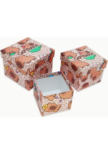 Capybara Desenli 3'lü Hediye, Kutusu Seti | Mini Kutu Seti fiyatları