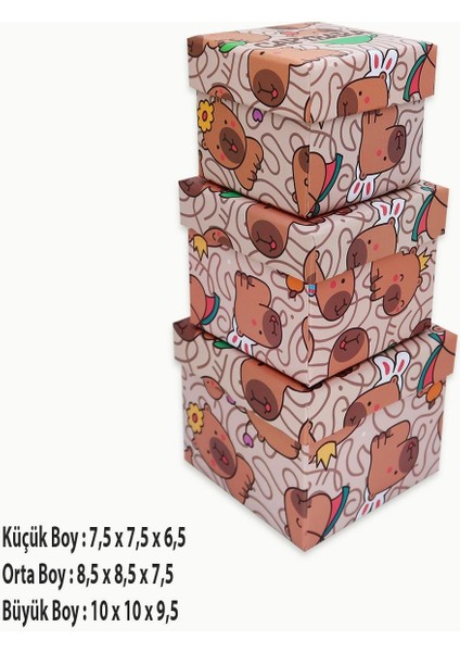 Capybara Desenli 3'lü Hediye, Kutusu Seti | Mini Kutu Seti modelleri
