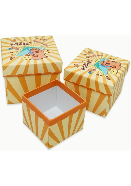 Şanslı Capybara Desenli 3'lü Hediye, Kutusu Seti | Mini Kutu Seti modelleri