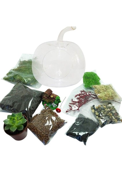 Teraryum Başlangıç Kiti Elma