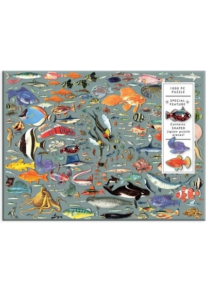Derin Dalış Puzzle