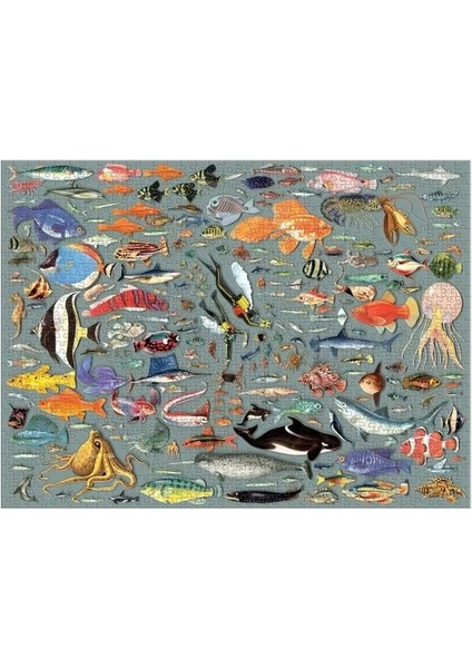 Derin Dalış Puzzle