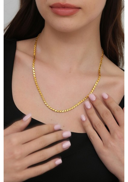 Altın Kesesi 8 Ayar Altın Pullu Zincir Kolye 4 mm fiyatları