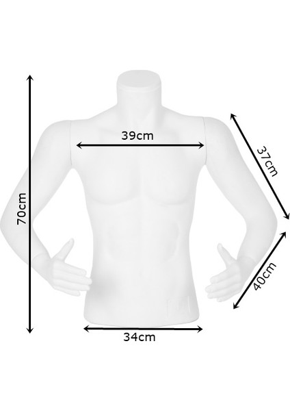 Bay Kollu Büst Manken - Prova, Teşhir, Vitrin, Tors Mankeni fiyatları