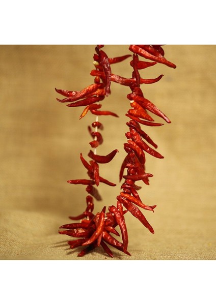 Kurutulmuş Atom Acı Biber 1 Bağ modelleri