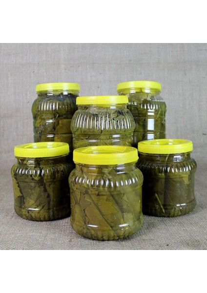 Salamura Yaprak 1 kg fiyatları