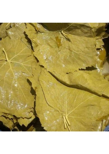 Salamura Yaprak 1 kg modelleri