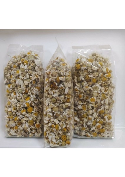 Mayıs Papatyası 40 gr fiyatları