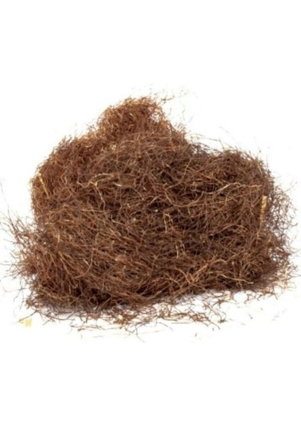 Mısır Püskülü 25 gr Paket