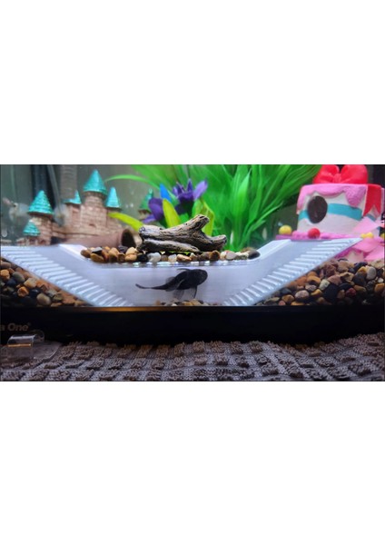 Akvaryum Için Balık Mağarası – Saklanma ve Üreme Alanı | 15X3X3 cm | Beyaz Renkli fiyatları