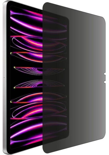 Apple iPad Pro (M4) 13" (2024) Için Ipg Privacy Hayalet Ekran Koruma Yan Görünmeyi Engelleyici