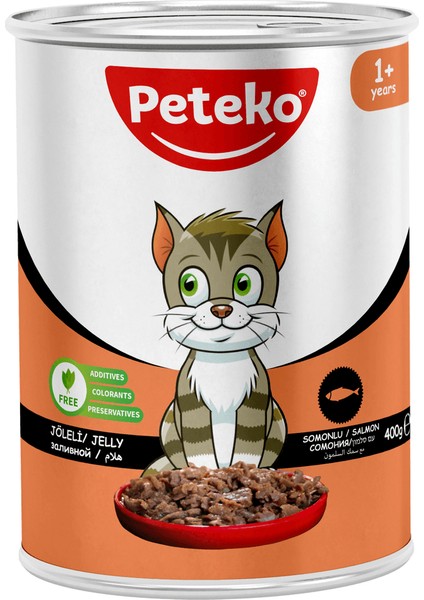 12 Adet Jöleli Parça Etli Yetişkin Kedi Yaş Maması Somonlu 400 Gram