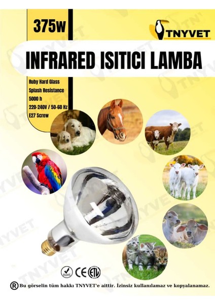Infrared Isıtıcı Lamba 375 Watt