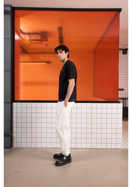 Bisiklet Yaka Çizgi Detaylı Triko Erkek Kazak fiyatları