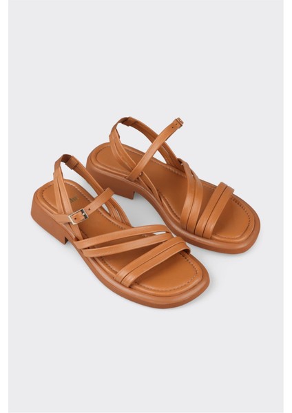 Taba Deri Kadın Düz Sandalet fiyatları